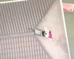 Бійці ЗСУ з дрона передали воду мамі з дітьми в затопленому будинку в Олешках (відео)