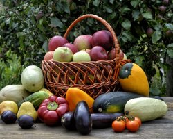 Без овощей, пшеницы и металлургии: какими будут последствия подрыва Каховской ГЭС