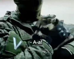 Украденный из Херсона енот укусил за палец коллаборанта Владимира Сальдо (видео)