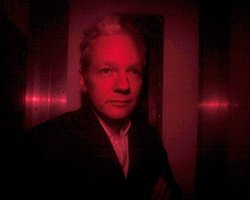 Ассанж довел кота до психоза – автор книги о Wikileaks