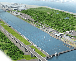 "Устрична чума" загрожує проведенню в Токіо олімпійських змагань з веслування