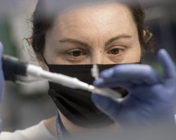 Потенциально опасен для человечества: ученые в США нашли агрессивный штамм COVID-19