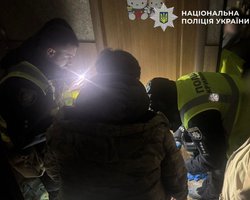 Волк жил в киевской квартире и покусал хозяйку: история получила продолжение (фото)