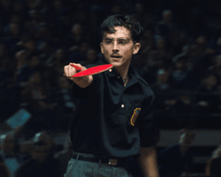 Новий фільм із Тімоті Шаламе спровокував туристичний бум навколо одного виду спорту