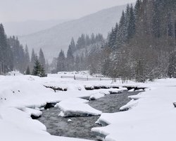 Янукович просил Медведева помочь с Олимпиадой в Карпатах