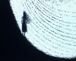 В Киеве пройдет международный фестиваль короткометражных фильмов