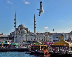 Турция отменила большинство карантинных ограничений