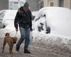 В Праге из-за морозов погибло десять человек