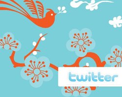 Twitter планирует запустить свой видеохостинг