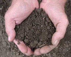 Украинская земля уже подготовлена к продаже, - Госзем