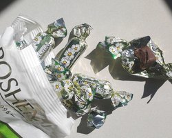 Онищенко заявляет, что не видел отправленных "по чумацкому шляху" документов по Roshen