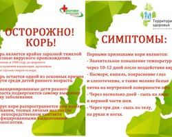 За девять дней нового года в больницы с корью угодили 18 юных киевлян