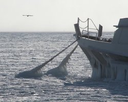 Убытки от шторма в Ялте и Алуште составили 16 млн. гривен