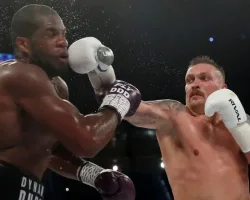 Усик — Дюбуа: где смотреть трансляцию открытой тренировки боксеров перед реваншем