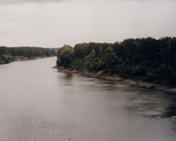 Токсические вещества из Венгрии в Украину не попали