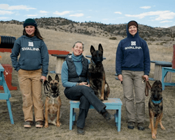 Женщина продает собак-охранников за $175 000: чем они особенные (фото)