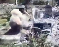 Украинские только огороды: в DeepState уточнили позиции ВСУ и ВС РФ в Новоалександровке (карты)