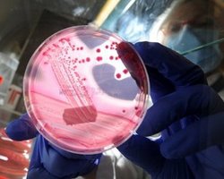 Вспышка кишечной инфекции в Германии: 10 человек умерли