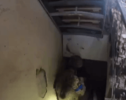 "Это могла быть ловушка": доброволец из Новой Зеландии рассказал о спасении бойца ВСУ (видео)