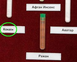 У Януковича неправильно написали название наркотика 