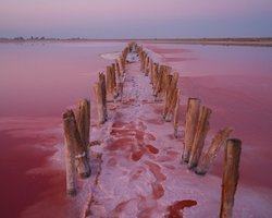 Лемурийское озеро. Мертвое море розового цвета на Херсонщине