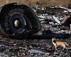 Трибунал по сбитому Боингу: Малайзия рассмотрит план Б