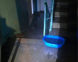 "Вода заливає цілі під'їзди": у різних районах Києва фіксують масові прориви труб (відео)