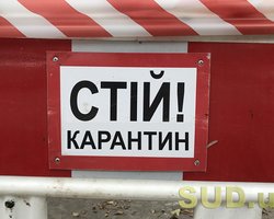 Зимний локдаун: после 8 января елки на площадях останутся, но многое будет запрещено