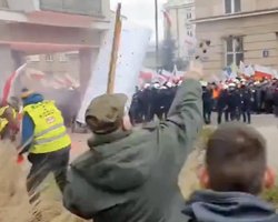 Половина задержанных фермеров на протесте в Варшаве были нетрезвыми, — полиция (фото, видео)