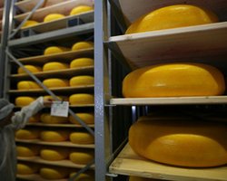Роспотребнадзор разрешил двум украинским заводам возобновить поставки сыра в РФ