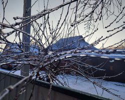 Довгоочікуване, але недовге тепло: коли в Україну прийде нова хвиля похолодання