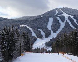 У Карпатах збудують дорогу до "Буковеля" за 6,6 млрд грн