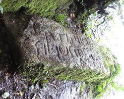 Воссоздали лингвистическое прошлое Британии и Ирландии: ученые создали первый словарь кельтских языков