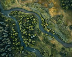 Беда пришла откуда не ждали: 18 крупнейших речных дельт Земли неожиданно начали проседать