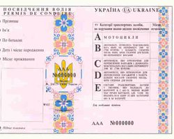 С 29 марта в водительских правах будет указываться срок действия