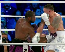 Бой Усик — Дюбуа: кто может победить в реванше, ставки известных боксеров