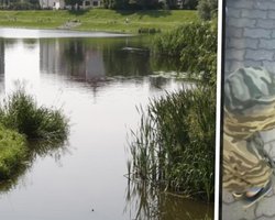 Думали, что его съели: в Польше сообщили о судьбе сома, из-за вылова которого депортировали украинца