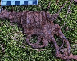 Такою зброєю вбили американського президента: у польському лісі знайшли револьвер XIX століття