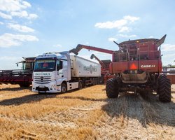 У Польщі передумали забороняти транзит українського зерна: названа причина