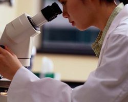 В Германии ждут новых вспышек кишечной инфекции