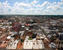 Местные выборы: во Львове подсчитали 28% протоколов