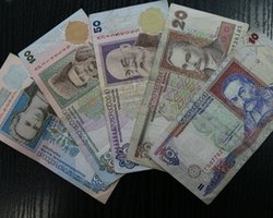 Глава Минэкологии: Бонусы за допуск компаний к шельфу пойдут на социнициативы Януковича