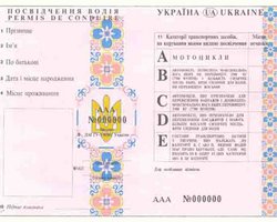 Новые водительские права будут выдаваться на 50 лет