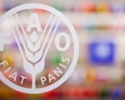 ФАО: Цены на продовольствие в мире останутся рекордно высокими