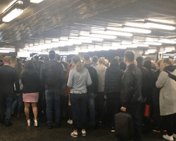 Карантин в Киеве: на станции метро "Позняки" – давка из-за новых турникетов (фото)