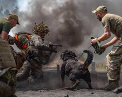 Бои на Донбассе и успехи ВСУ в Запорожской области: ситуация на фронте по областям (карта)