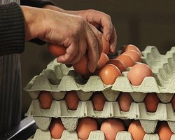 В Черновицкой области подешевели сметана, масло и яйца