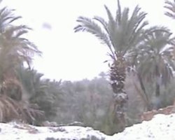 Сербию, Турцию, Алжир и Марокко завалило снегом