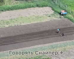 На Донбассе местные сажают картошку, пока на соседних улицах продолжаются штурмы (видео)