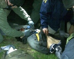 Власти США предъявили Джохару Царнаеву обвинение